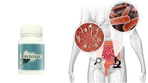 intoxic